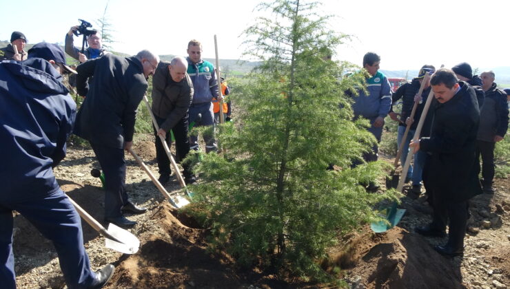 Dünya Ormancılık Günü’nde Çanakkale’de 4 bin fidan toprakla buluştu