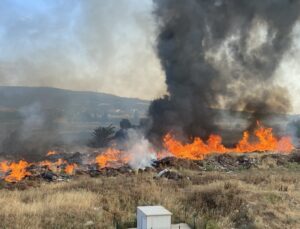 Çanakkale’de korkutan yangın