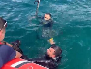 Feribot iskelesinde mahsur kalan kediyi Sahil Güvenlik ekipleri kurtardı