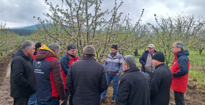 Çanakkale’de zirai don hasar tespit çalışmaları devam ediyor