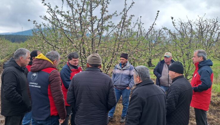 Çanakkale’de zirai don hasar tespit çalışmaları devam ediyor