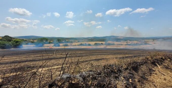 Çanakkale’de tarım arazisinde çıkan yangın kontrol altına alındı