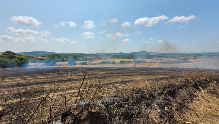 Çanakkale’de tarım arazisinde çıkan yangın kontrol altına alındı