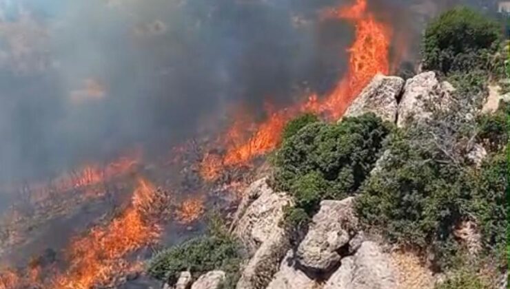 Ayvacık’ta makilik alanda çıkan yangın kontrol altına alındı