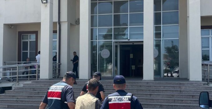 Çanakkale’de 77 kök kenevir bitkisi ele geçirildi, 1 şüpheli tutuklandı