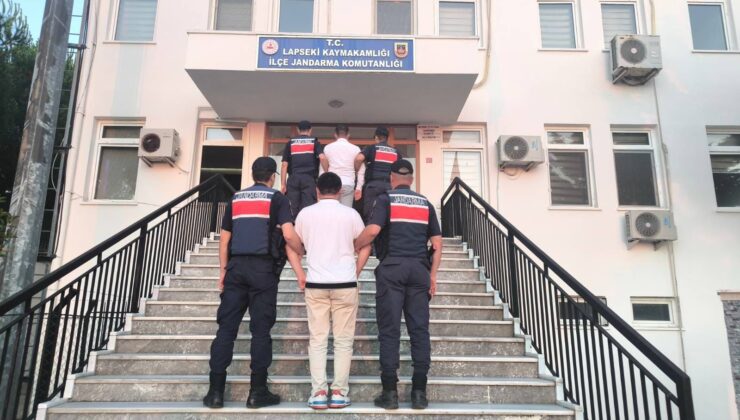 Lapseki’de tarım arazisinde çıkan ormanlık alana sıçrayan yangının sebebi sigara izmariti