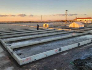 Çanakkale’deki deniz solucanları yetiştiriciliği tesisi sektörde tek