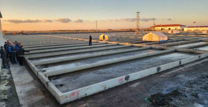 Çanakkale’deki deniz solucanları yetiştiriciliği tesisi sektörde tek
