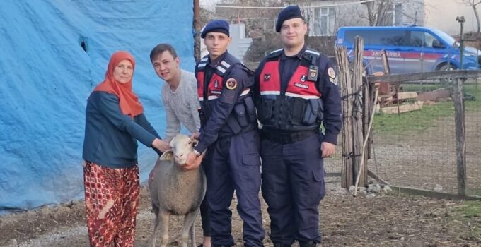 Çanakkale’de kaybolan 24 küçükbaş hayvan jandarma tarafından bulundu