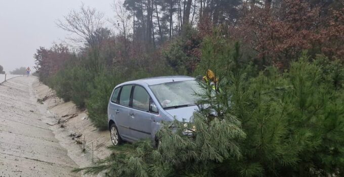 Ayvacık’ta otomobil ağaca çarptı; 2 kişi yaralandı